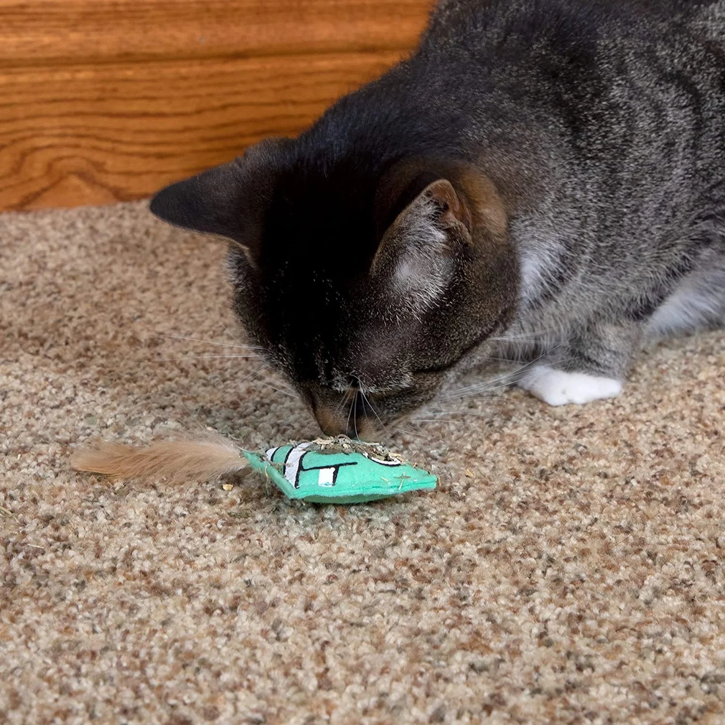 Premium Natural Catnip with Silvervine Bag