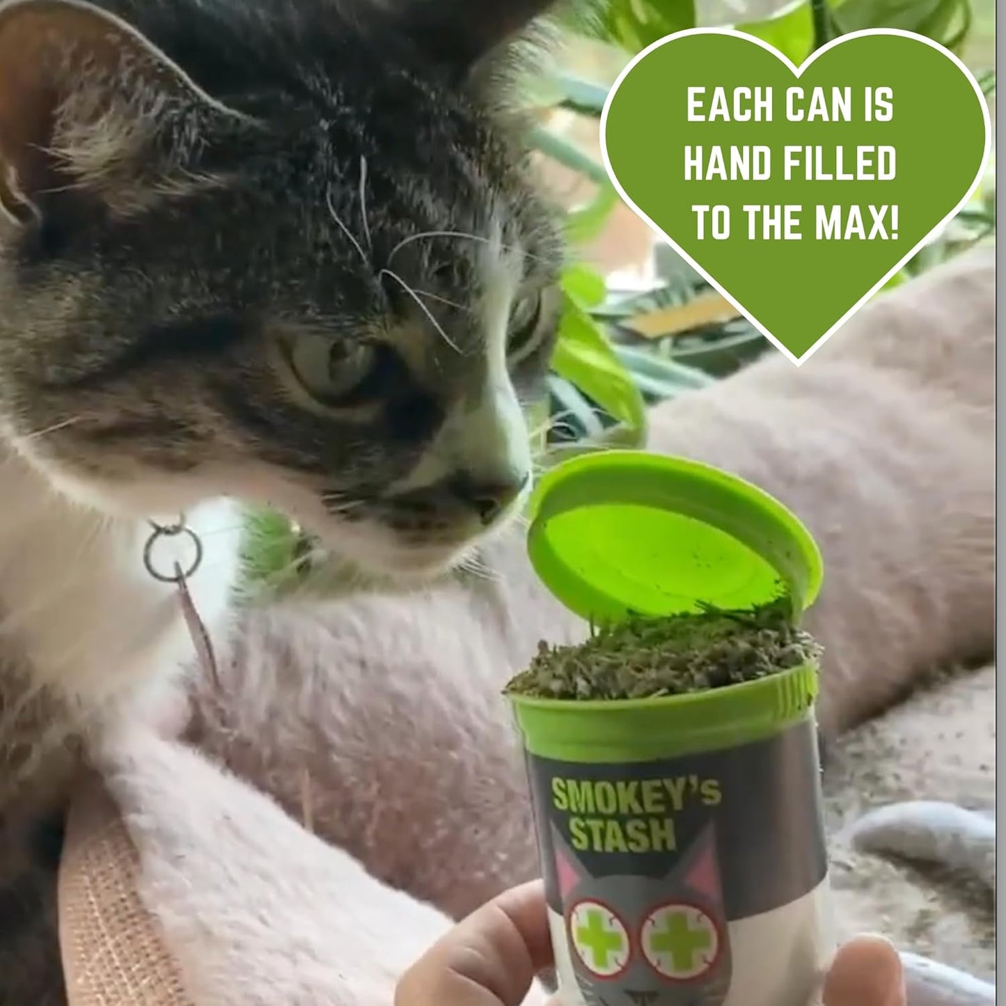 Cat Catnip Spray and Dried Organic Catnip Combo Maximum Potency Cat Nip Bundle