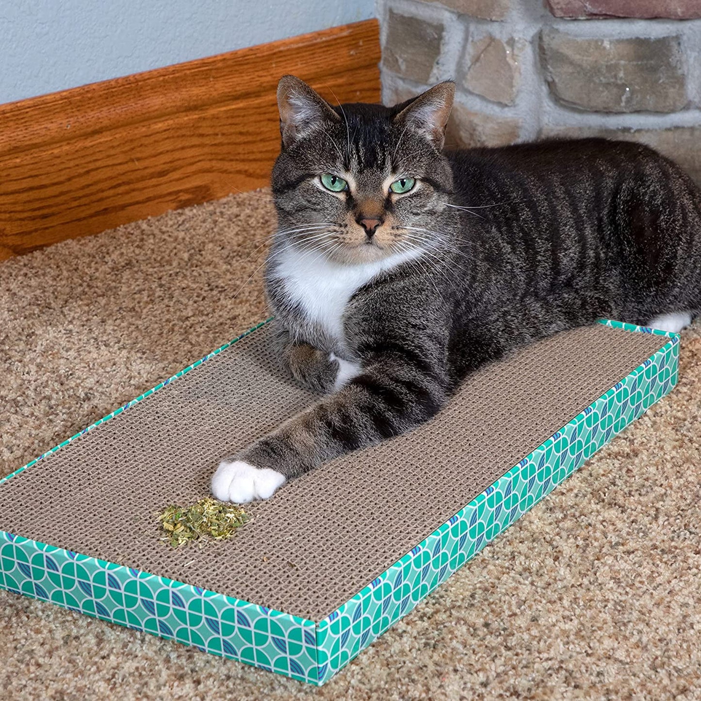 Premium Natural Catnip with Silvervine Bag