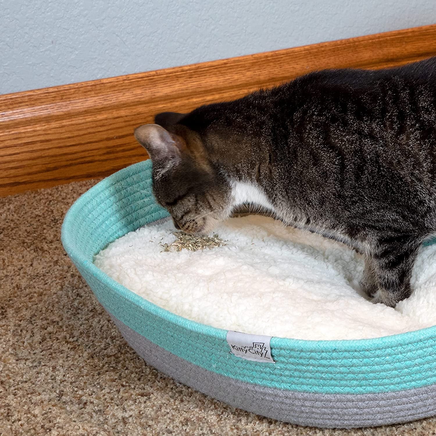 Premium Natural Catnip with Silvervine Bag