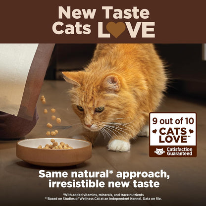 CORE+ Adult Dry Cat Food for Indoor Cats, Grain-Free, Natural, Chicken, Turkey & Chicken Meal (5 Pound Bag)