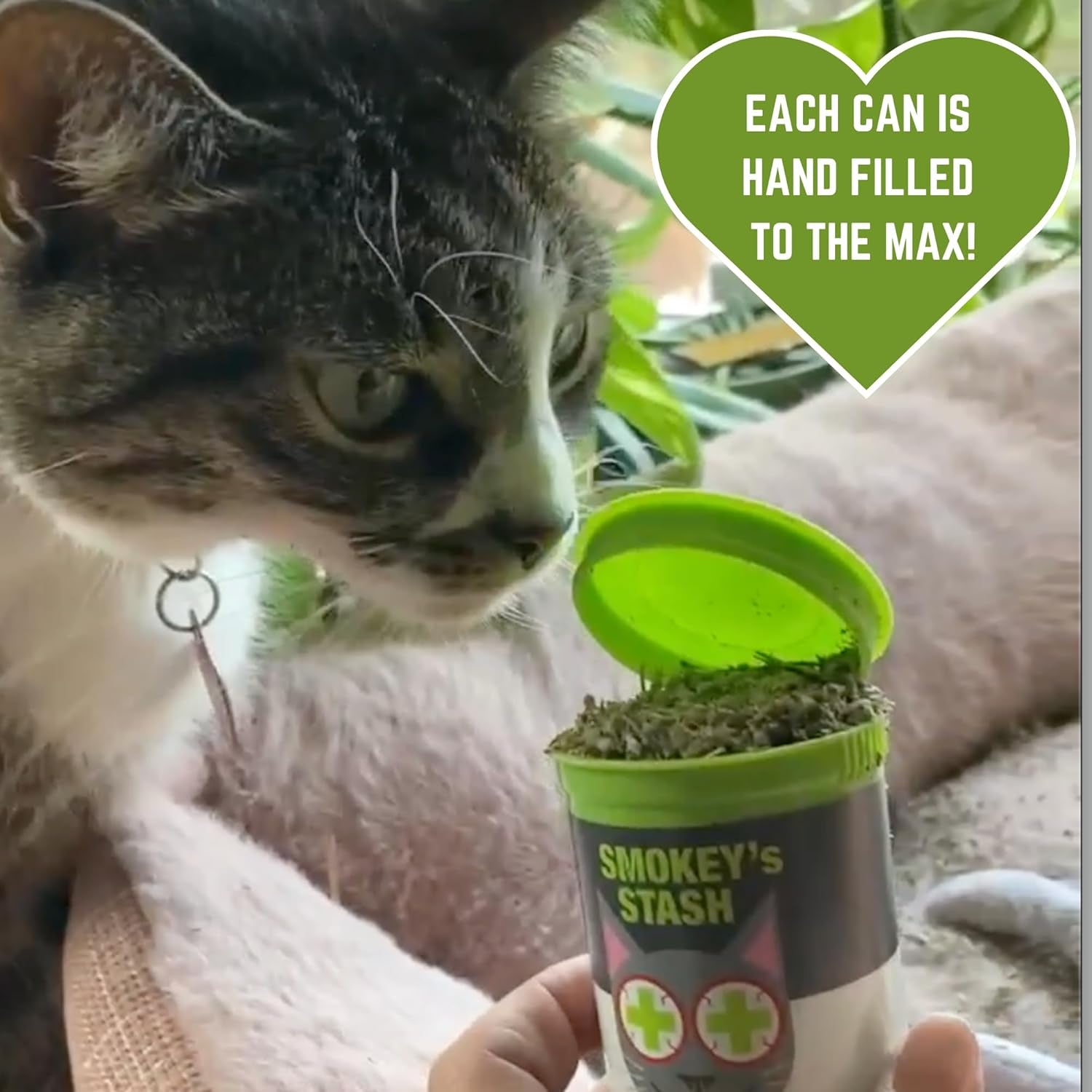 Cat Catnip Spray and Dried Organic Catnip Combo Maximum Potency Cat Nip Bundle
