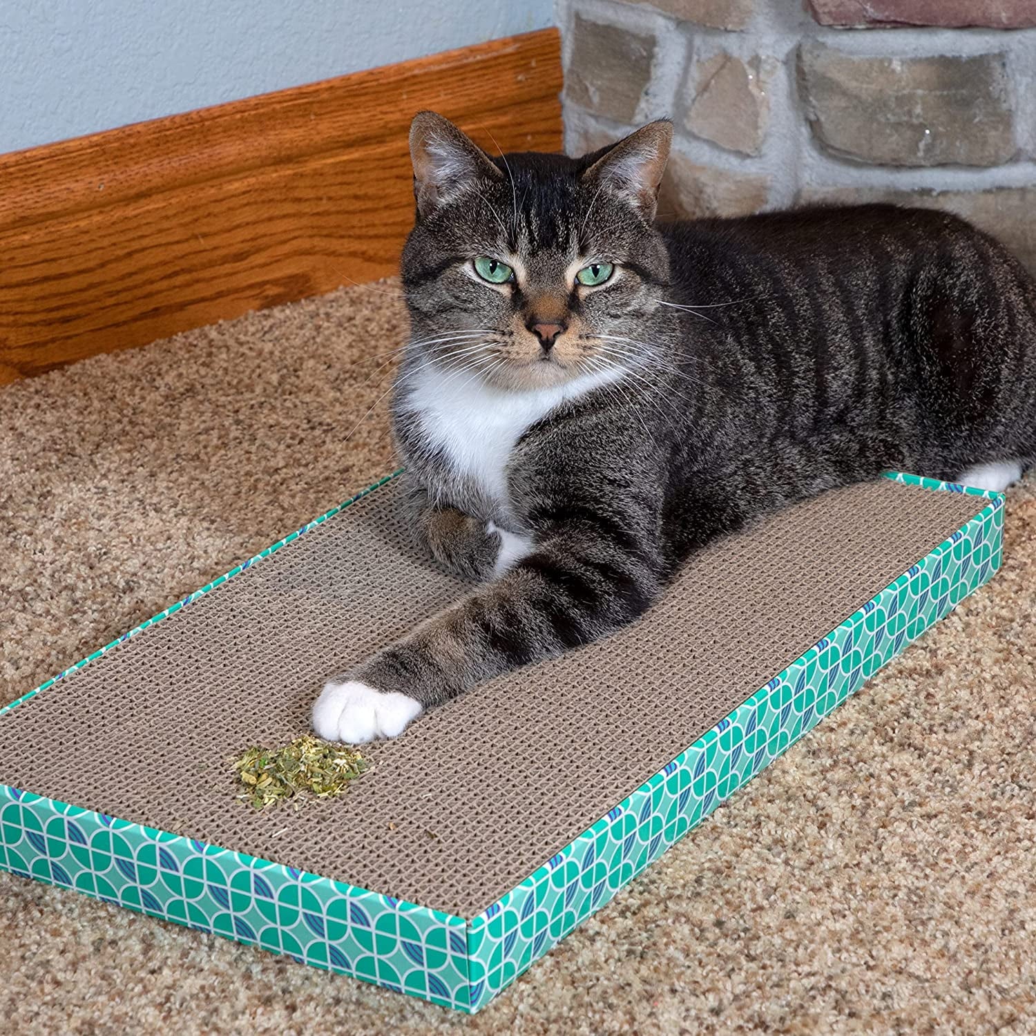 Premium Natural Catnip with Silvervine Bag