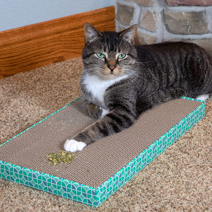 Premium Natural Catnip with Silvervine Bag