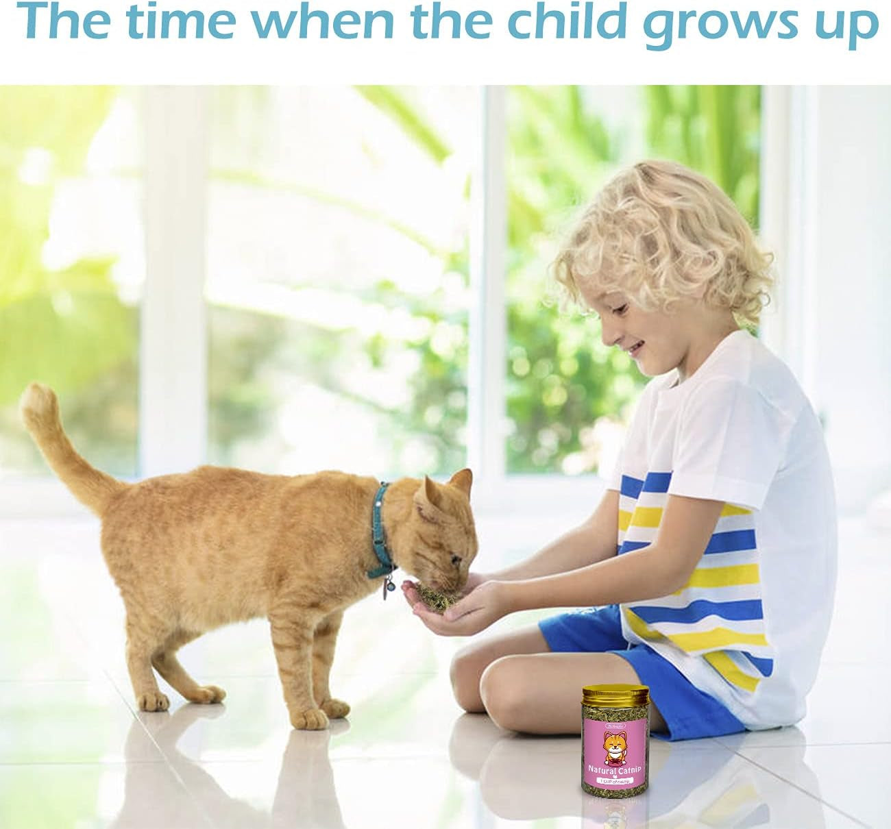 Cat Nip, Premium Catnip Leaves for Cat, Makes Cat Crazy (1CUP)